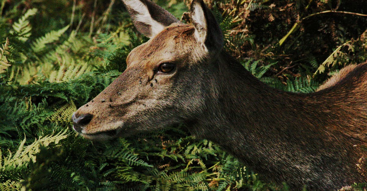 Does a head of lettuce really need to be refrigerated? - Brown Deer