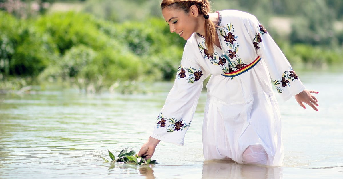 Does a Romanian omletă ţărănească (peasant omelette) have standard ingredients? - Woman in White Dress in the Water at Daytime