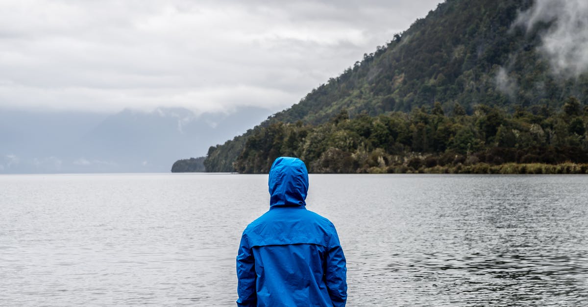 Does adding water back into an over-reduced sauce lose flavour? - Person Wearing Blue Hoodie Near Body of Water