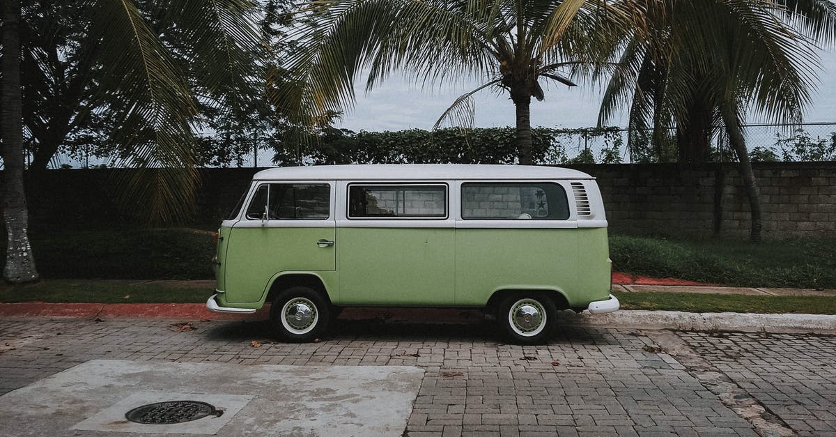 Does aged onion/garlic turn green when frying? - Green Volkswagen Transporter Van Parked Under Coconut Trees