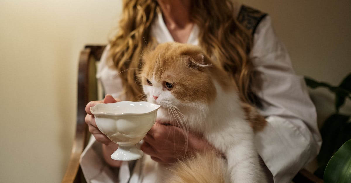 Does cheese have to be made with rennet from the animal whose milk it is? - Orange Tabby Cat on Womans Lap Does cheese have to be made with rennet from the animal whose milk it is? - Orange Tabby Cat on Womans Lap