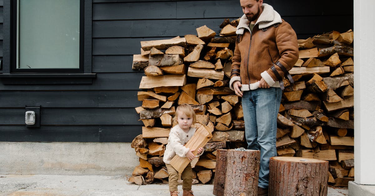 Does keeping a fridge/freezer full significantly help energy efficiency? - Cheerful father and kid with firewood near house