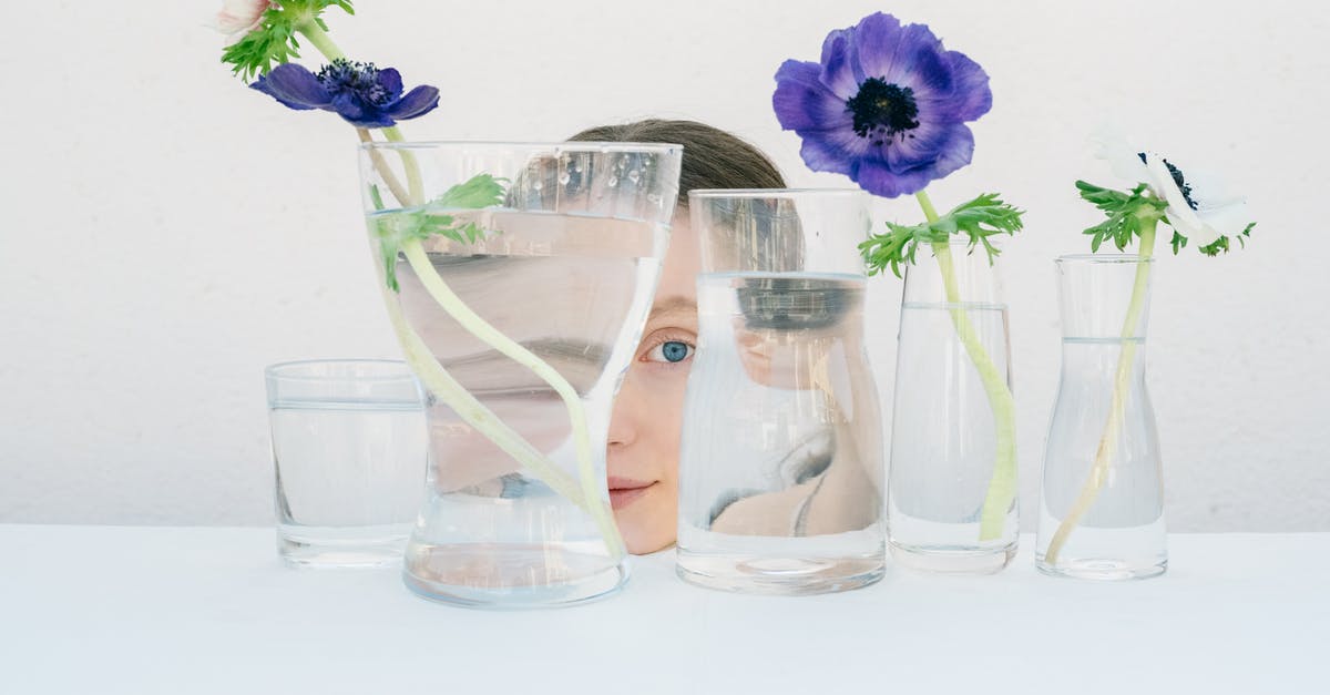 Does putting pandan leaves' stems in water prolong its freshness? - A Woman Behind Glass Vases with Purple Flowers