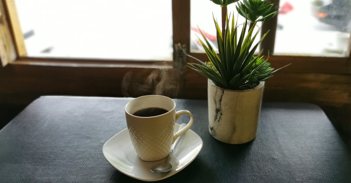 Does resting stew lead to more succulent meat? - From above cup of fresh brewed hot coffee placed on table near window with potted succulents on sunny day