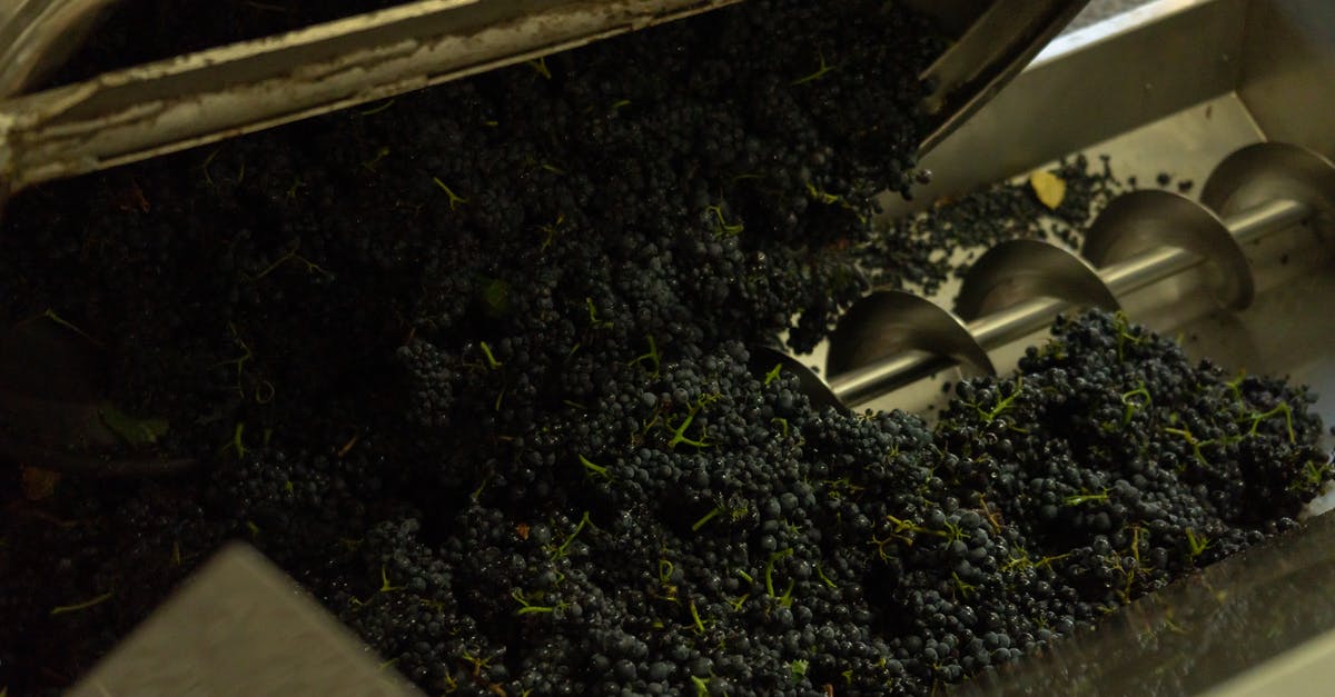 Does the alcohol in wine affect cooking process? - Process of making grape wine in factory