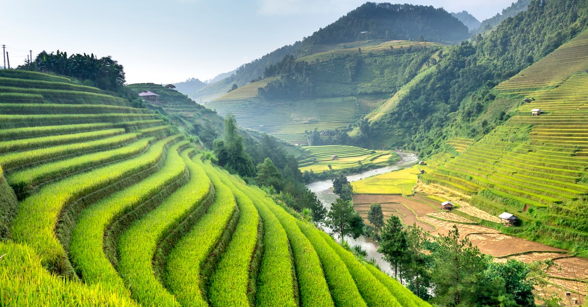 Does the cooking time, adding more water and using high quality and expensive rice help to produce soft and non-stick rice? - Picturesque view of high green mounts with rows of growing rice and narrow river in summer
