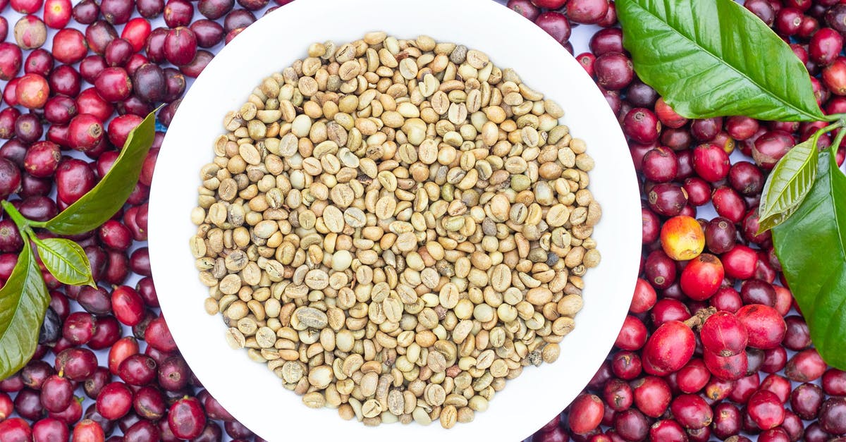 Dried garbanzo beans not expanding when soaked - Brown Beans in the Bowl