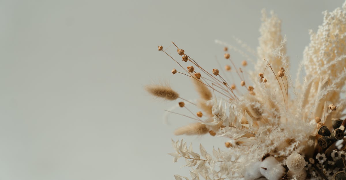 Dried herbs instead of bouquet garni? - White Flower in Macro Lens Photography