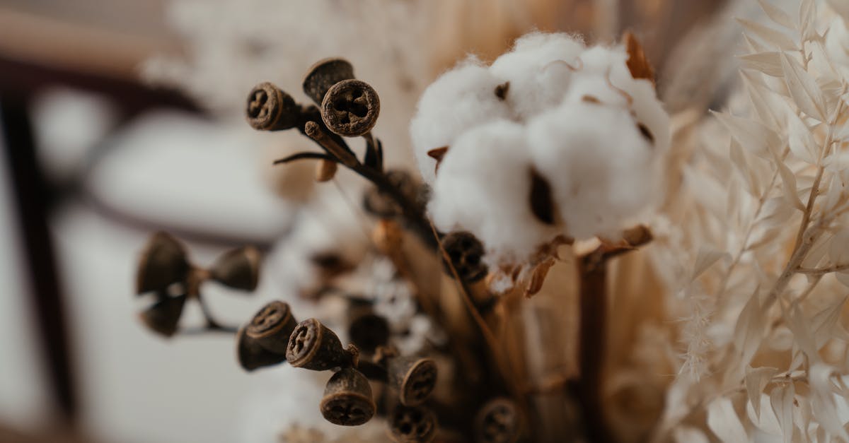 Dried herbs instead of bouquet garni? - Brown and Black Plant Covered With Snow