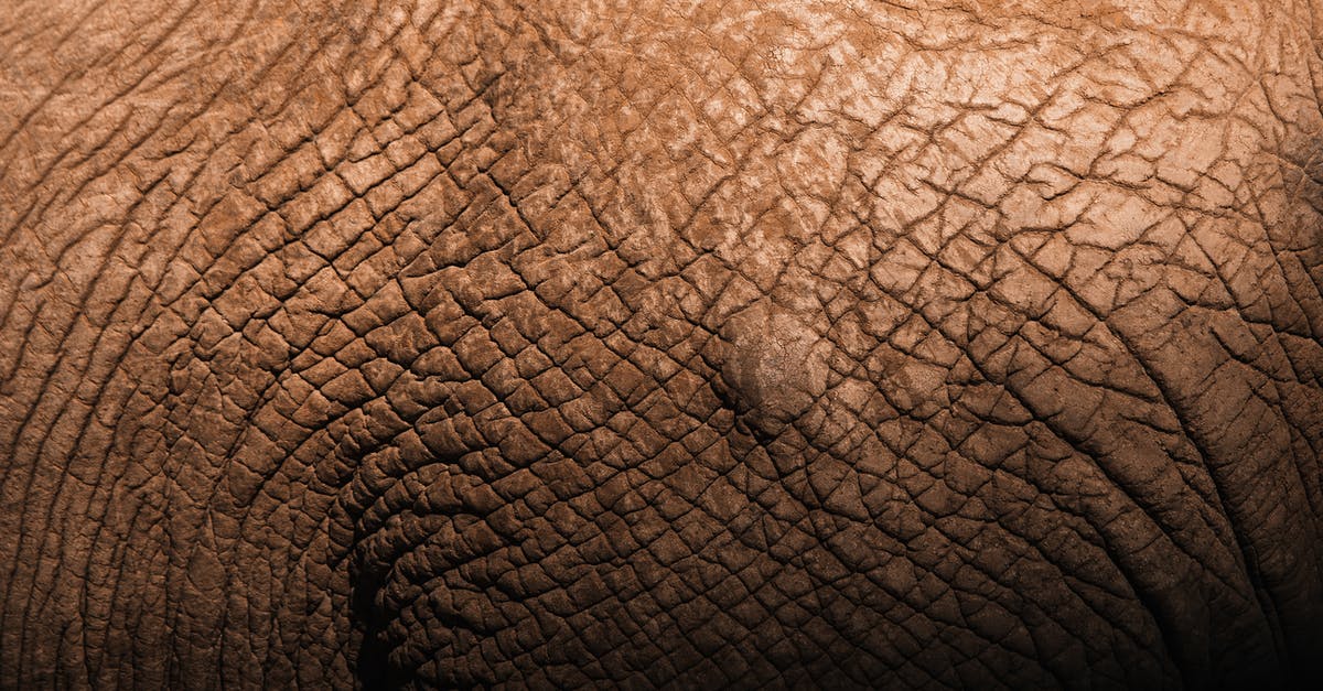 Dry and Tough Rumproast - Closeup backdrop of tough brown elephant skin with decrepit texture and uneven surface in daylight