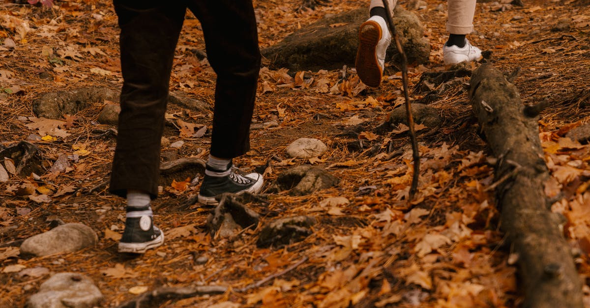 Dry leg of lamb - Crop unrecognizable persons walking on fallen yellow leaves in forest