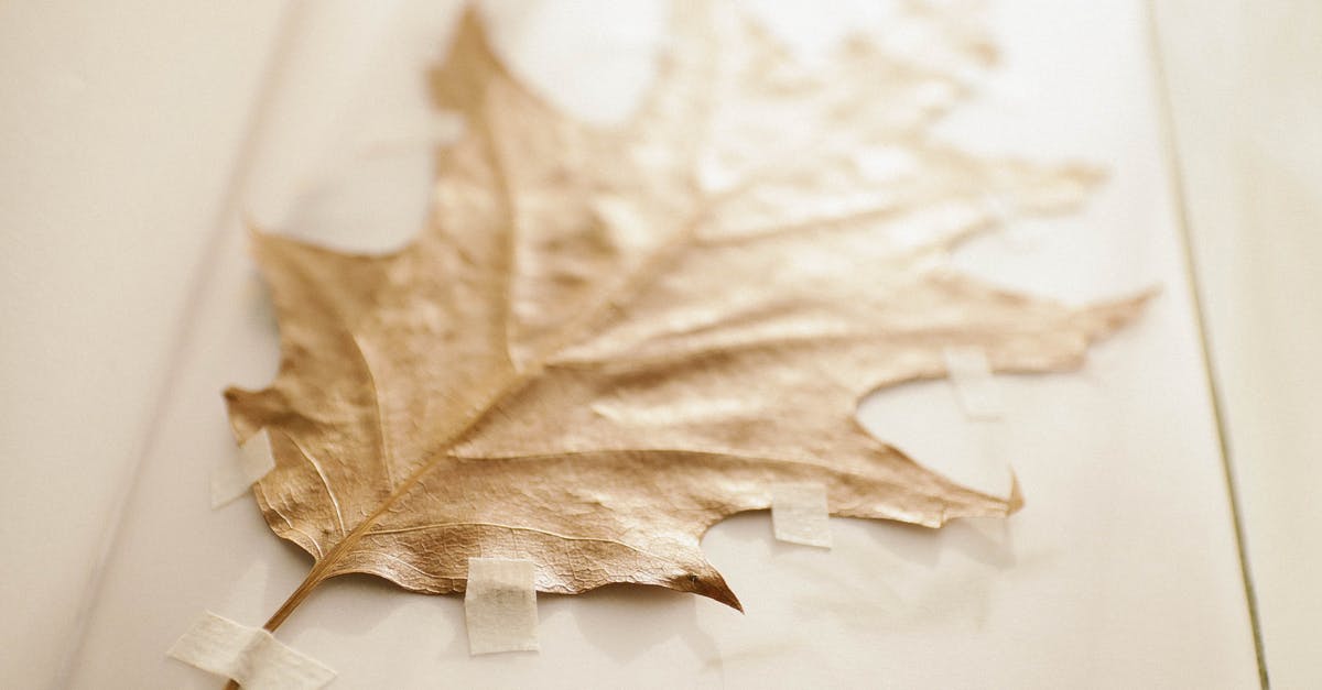 Dry seasoned popcorn in oven - Brown Dried Leaf