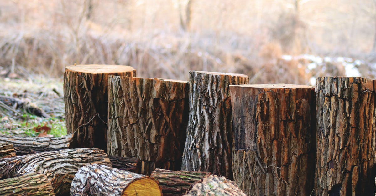 Dry seasoned popcorn in oven - Depth of Field Photography of Brown Tree Logs