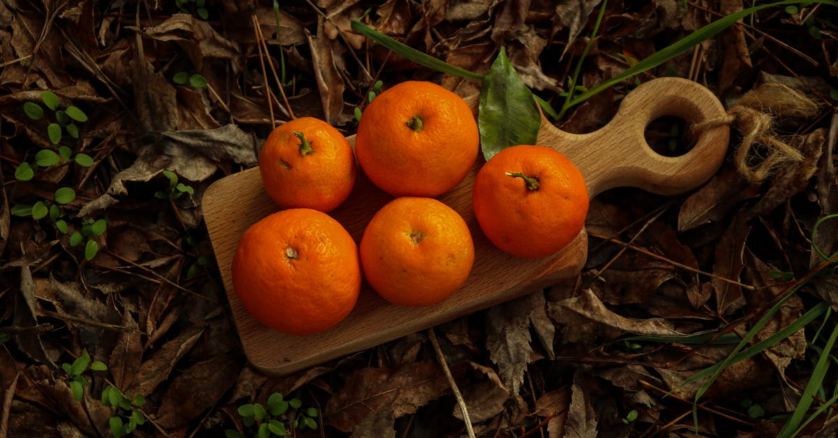 Drying fruits with a household dehydrator - Orange Fruits on Wooden Board 