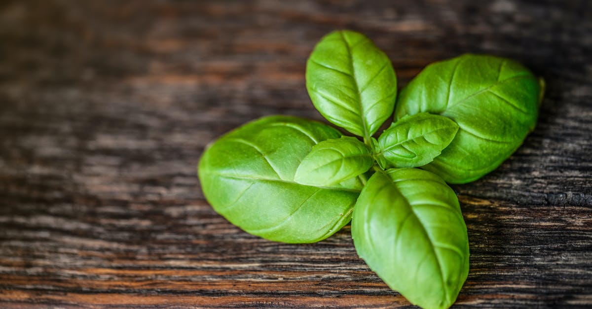 Drying of basil leaf and other herbs - Green Leaves