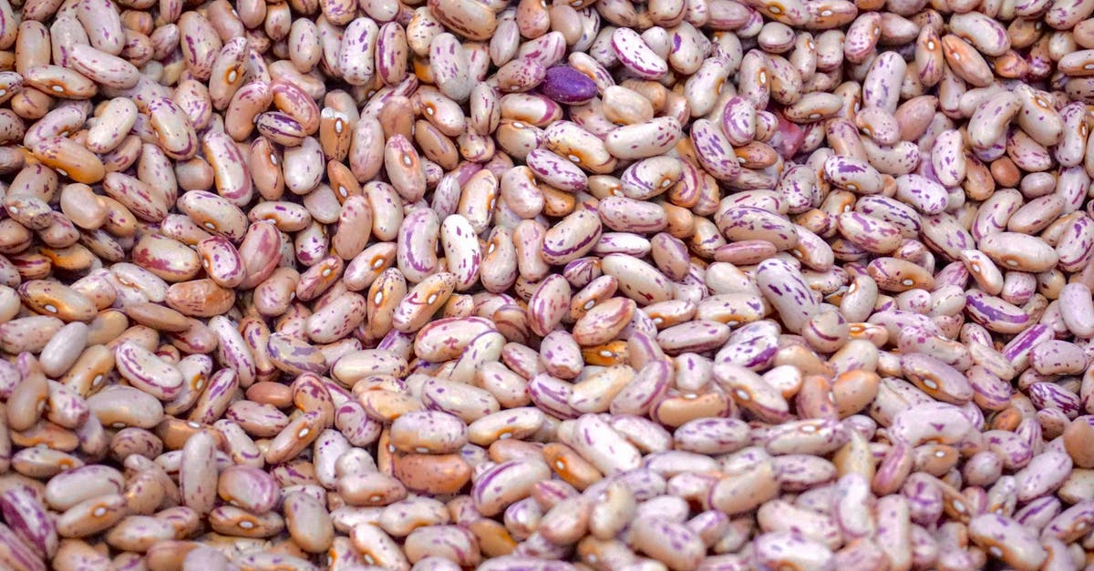 Drying Picked Beans (Scarlet Runners) - Beige and Purple Beans