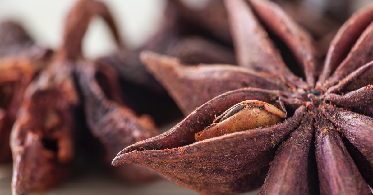 Dutch savoury spices and herbs - Close-up of Star Anise 