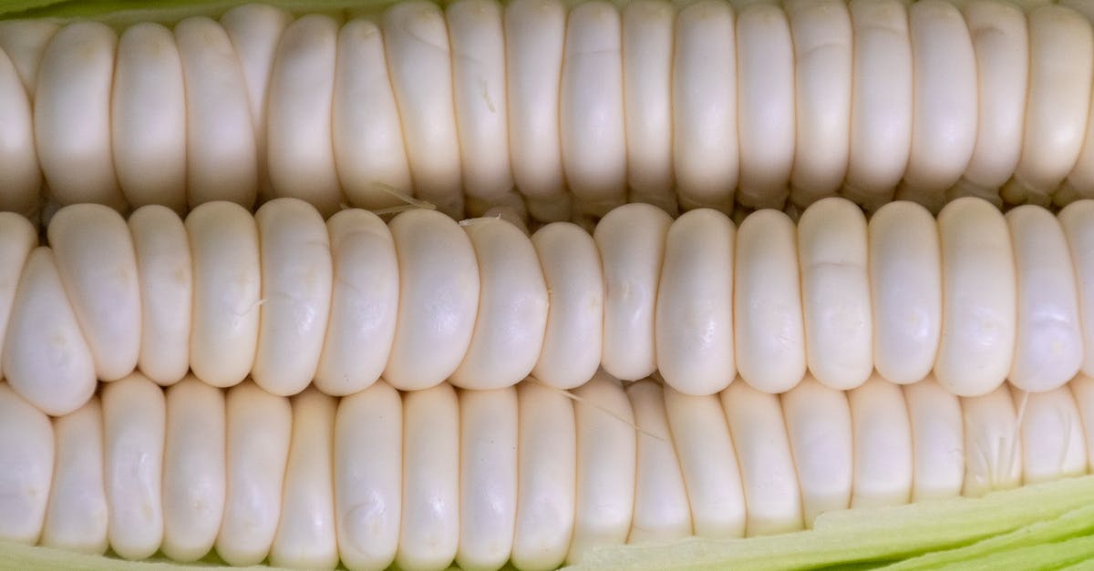 Ears of corn in grams - White Spring Rolls on Green Textile