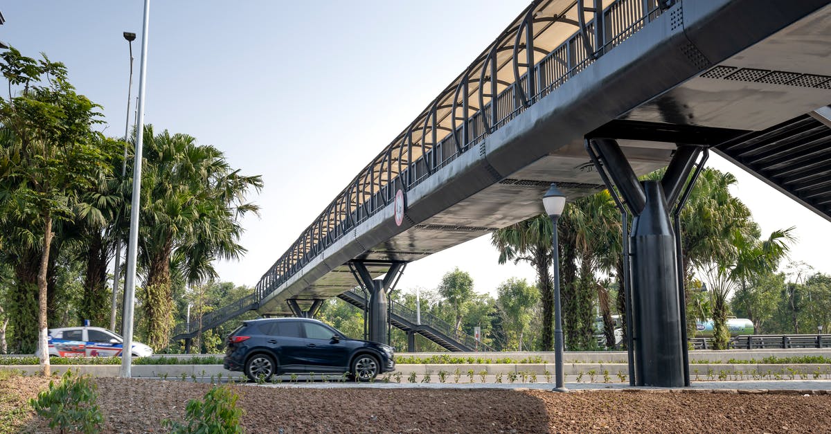 Edible supports for a fondant palm tree - Automobiles on roadways with fenced bridge between palm trees under light sky in town on sunny day