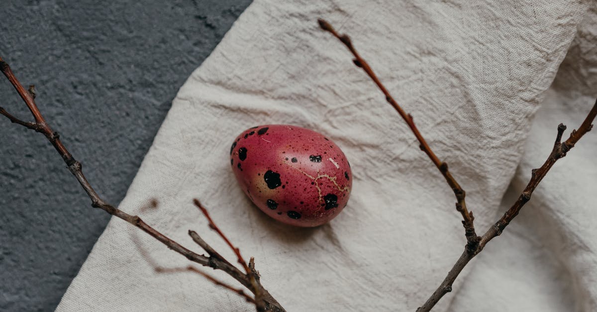 Egg of a dove in my flowerpot - Free stock photo of art, baking, bird