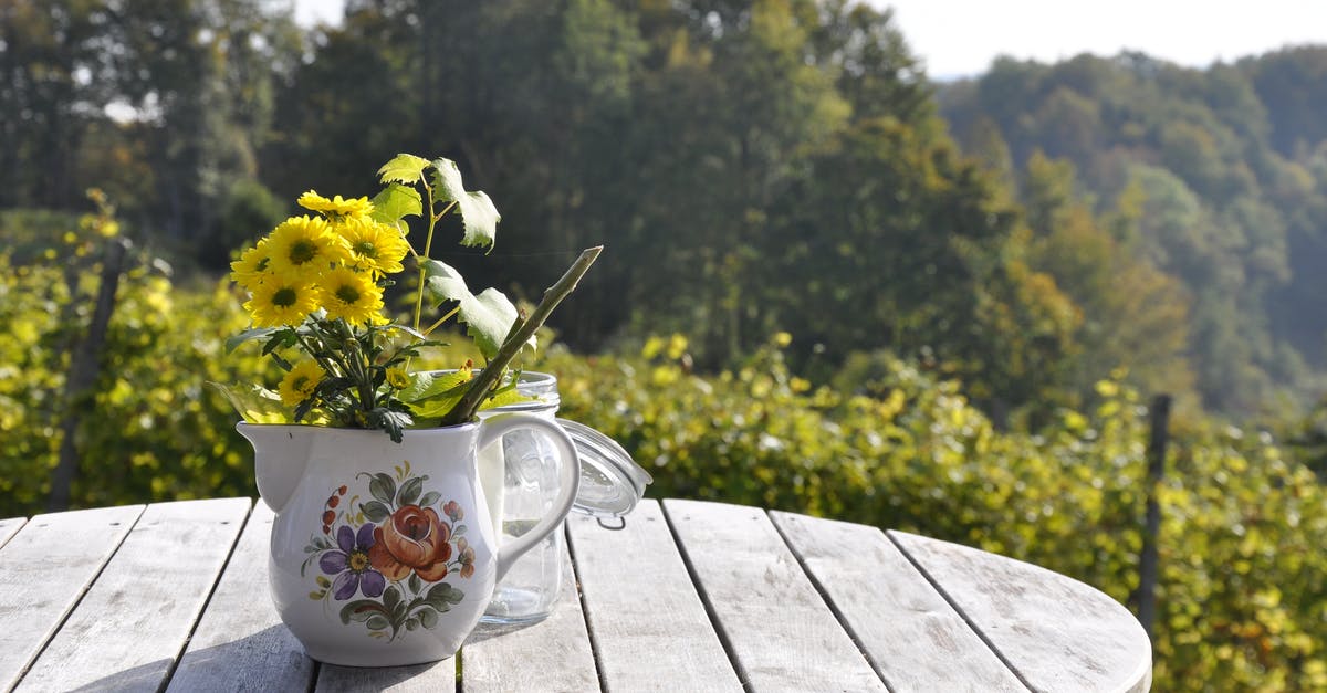 enamelled pot with a chip on the outside on the bottom - Flower Arrangement in Vase