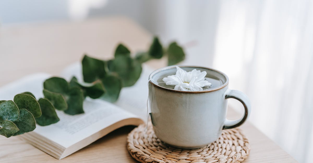 Eucalyptus tea: is it safe to drink? - Green tea in cup with blossoming Chrysanthemum against Eucalyptus