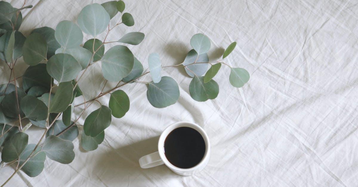 Eucalyptus tea: is it safe to drink? - Flat Lay Photography of White Mug Beside Green Leafed Plants