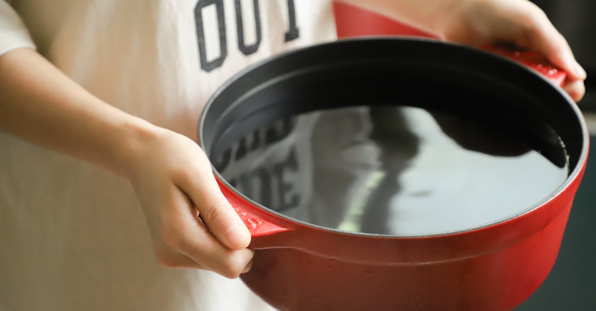 Excessive water when cooking scallops - Person Holding Red Pot Filled with Water