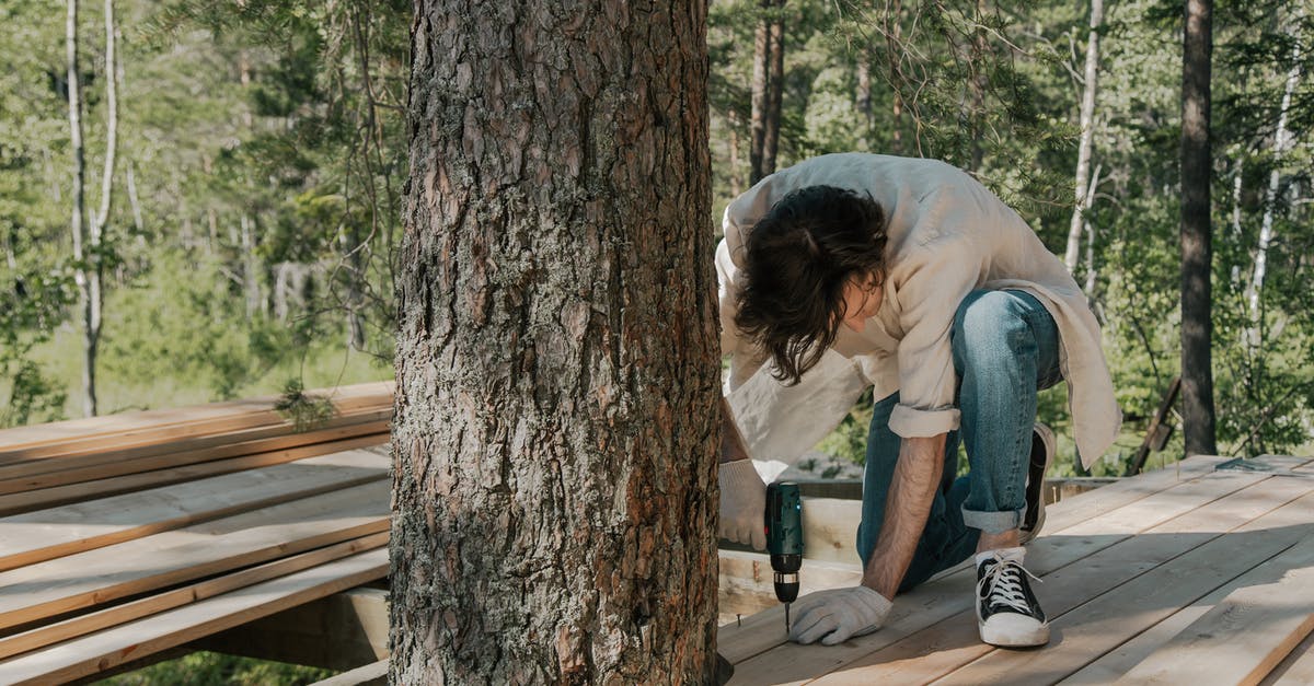 factors affecting the flavor of cinchona bark - Free stock photo of boardwalk, bridge, child