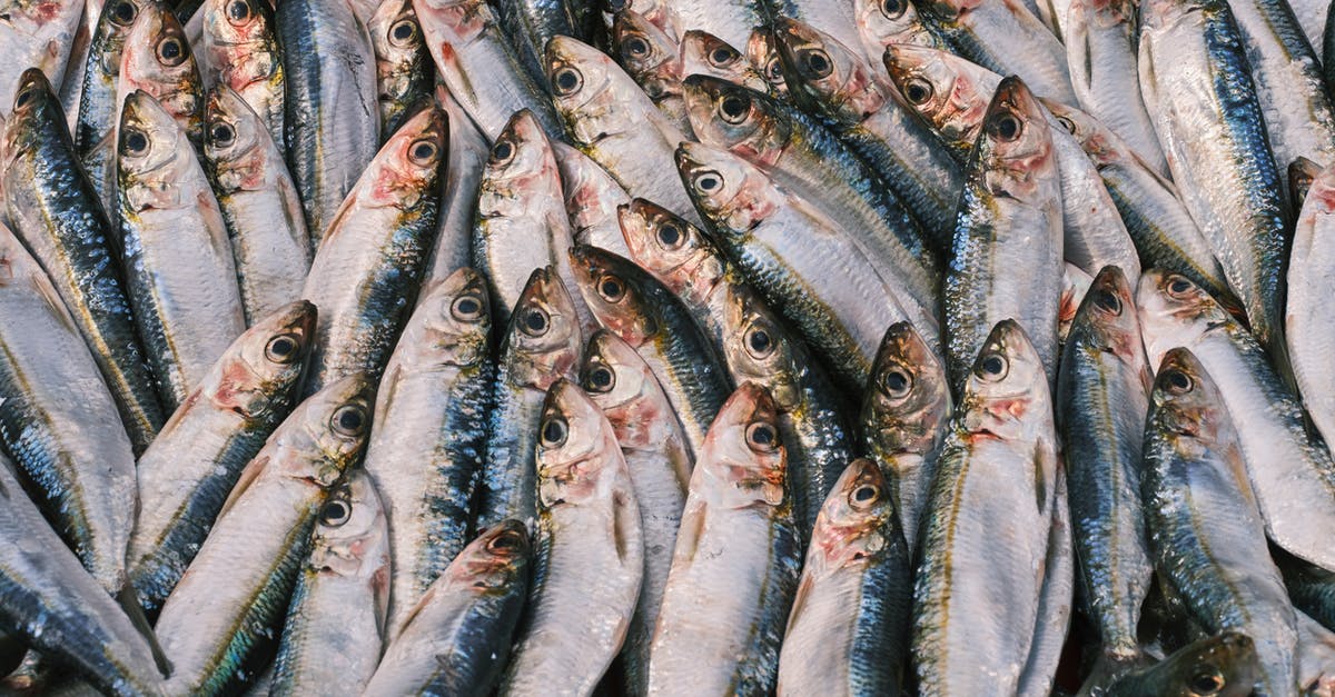 Fat sinking to bottom of stock - Brown and Gray Fish on White Textile