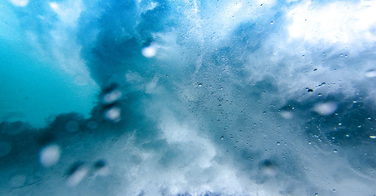 Fermenting pickles - sun or shade? - White and Blue Bubbles