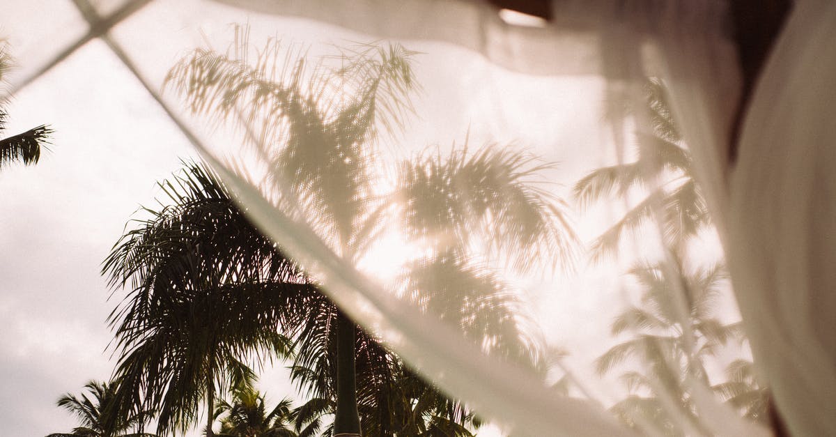 Fermenting pickles - sun or shade? - Green Palm Trees