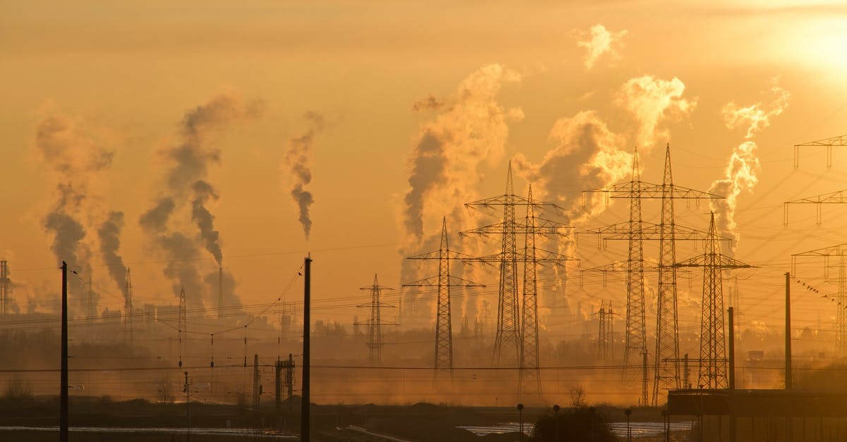 Fiddlehead toxicity - Electric Towers during Golden Hour