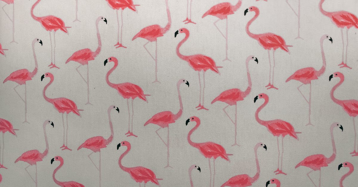 Fishhouse Punch: Peach Brandy vs Schnapps - Pink Flamingo Printed Paper