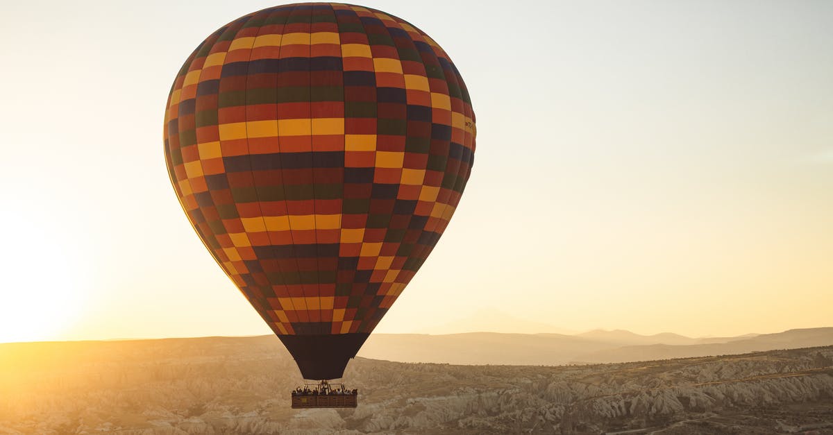 Fluids in a turkey - Red Yellow and Black Hot Air Balloon