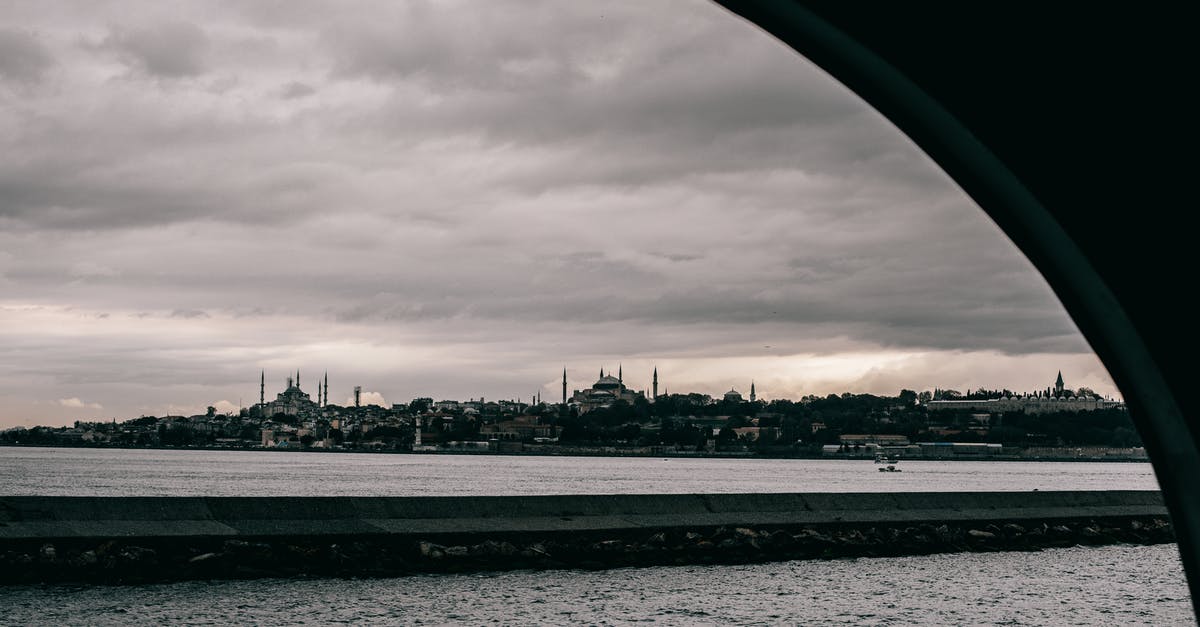 Fluids in a turkey - Grayscale Photo of City Skyline