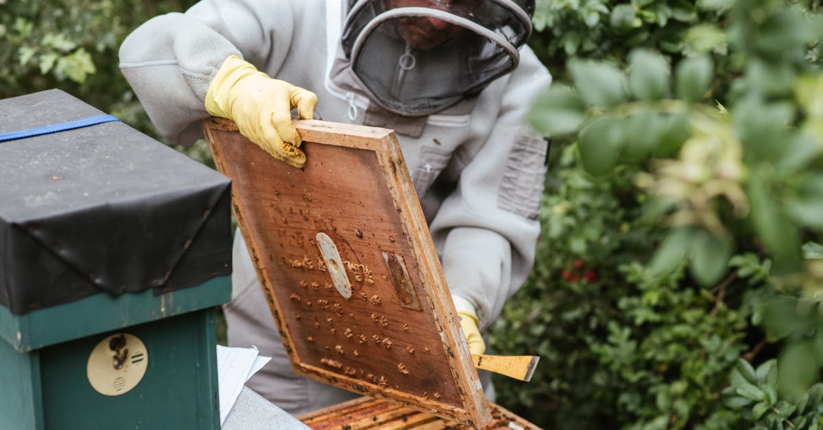 Food safety after rodent issue - Crop man harvesting honey in countryside area