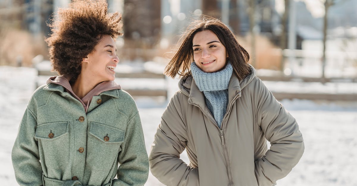 Freeze friendly baked side dishes - Carefree young multiethnic female friends in warm clothes walking together with hands in pockets on snowy city street and chatting