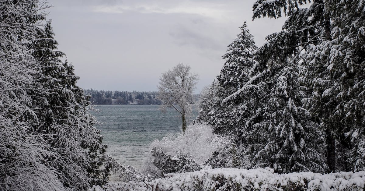 Freezing a meringue? - The Ocean beyond the Snow Covered Trees