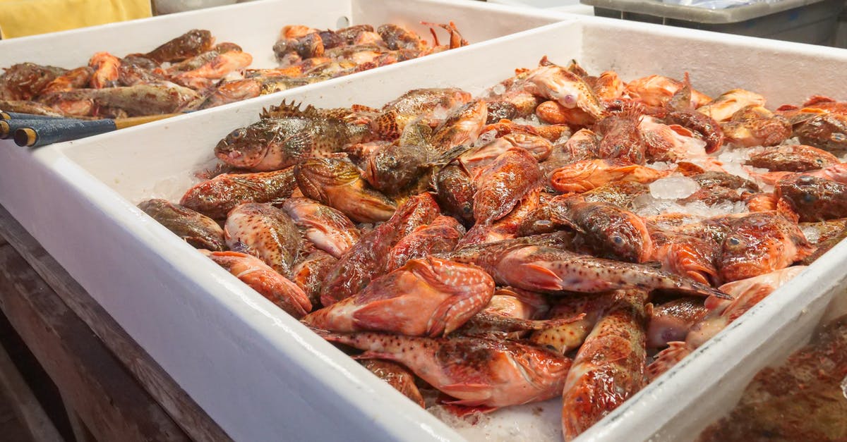 Freezing fresh water fish - Cooked Shrimp on White Plastic Container