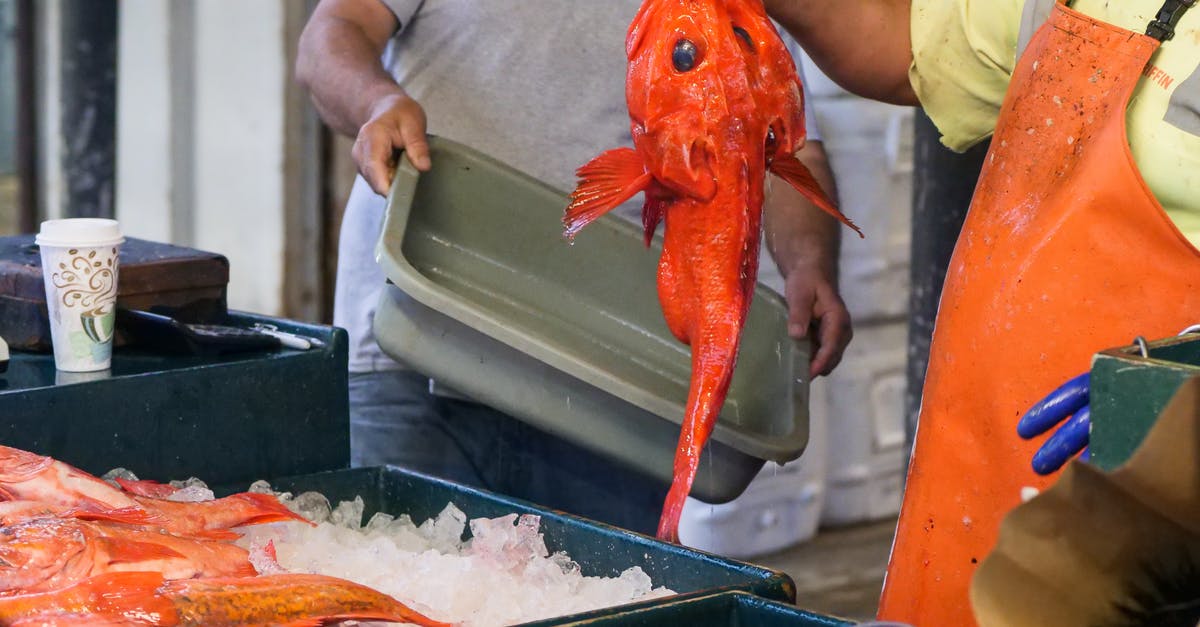 Freezing fresh water fish - Man Holding a Red Fish While His Friend is Holding a Tray 