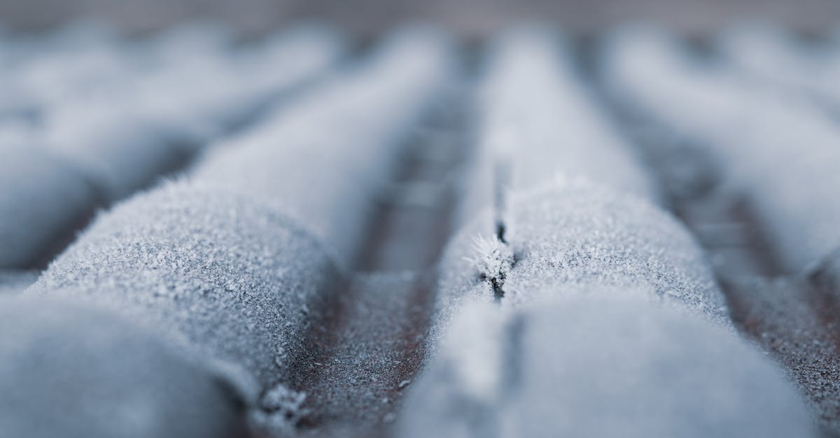 Freezing Indian chicken curry---how to retain texture and flavor? - Selective Focus Photography of Frozen Roof