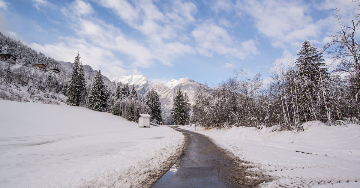 Freezing Mashed Potatoes - any way to prevent drying out? - Pavement Road Surrounded by Snow and Pine Trees