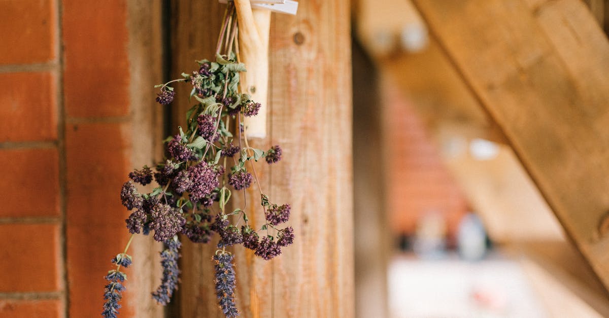 Freezing or drying "hardy" herbs -  Hanging Flowers to Dry