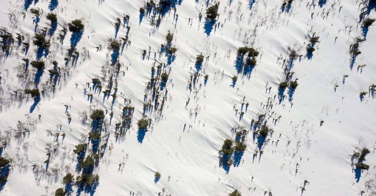 Freezing Peanut Butter Balls - White and Black Snow Covered Field