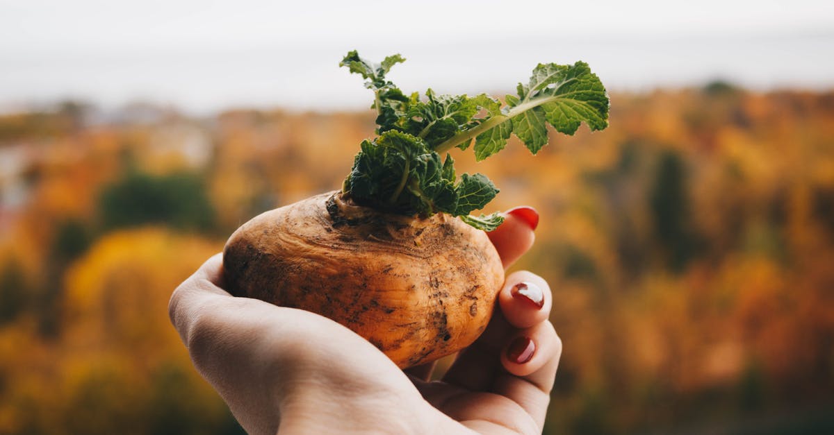 Freezing potato mash made with root and fresh vegetables - Brown Potato