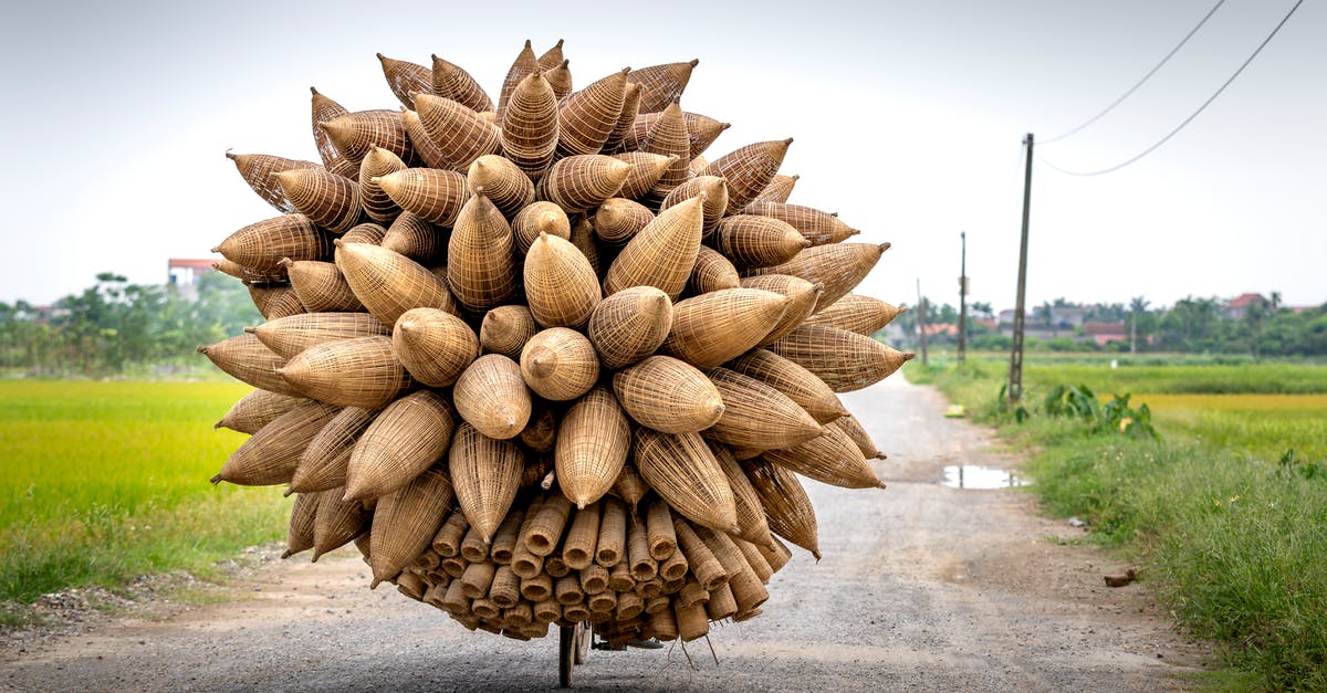 Freezing prepared dry salted fish - Back view of anonymous person riding bicycle with huge bunch of traditional bamboo fish traps in countryside on summer day