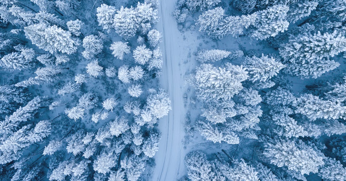 Freezing Soup Made Partly from Tins - Aerial Photography of Snow Covered Trees