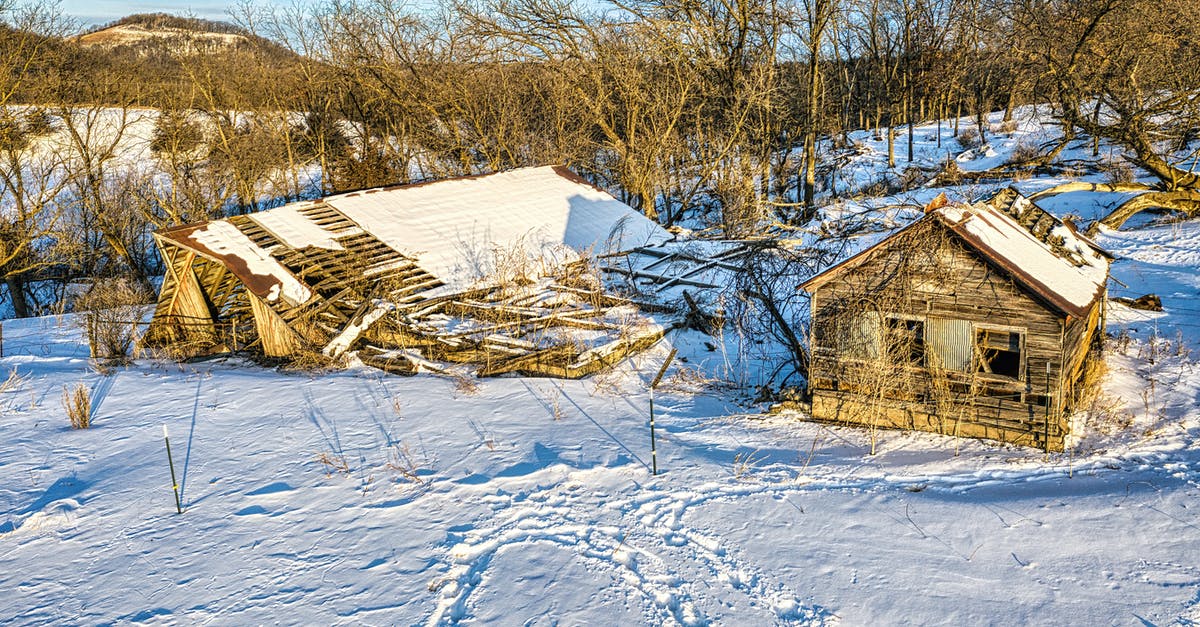 Freezing Tomatoes for Winter? - Brown Wooden House Covered With Snow