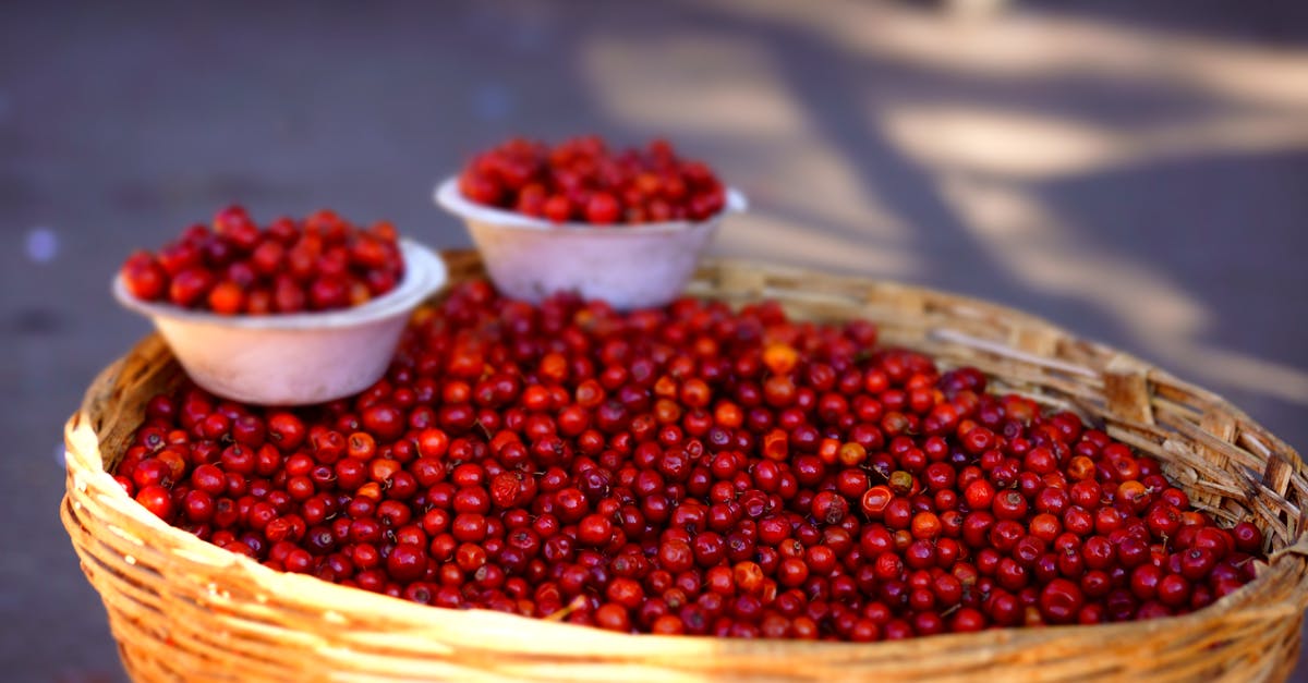 Fresh cranberries OR frozen cranberries - Cranberries in a Basket